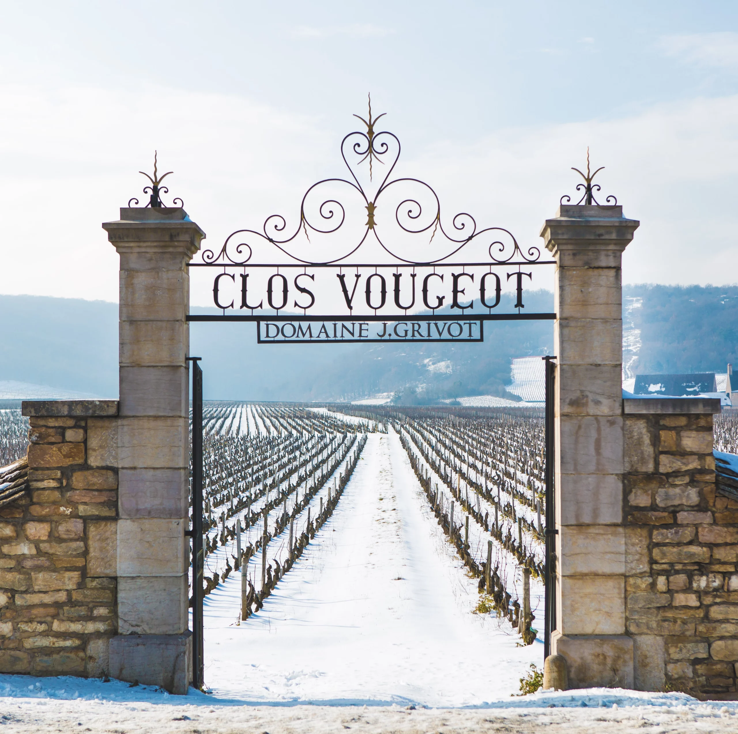 Portail Du clos Vougeot Domaine J.Grivot